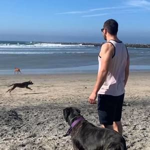 Meet your Posher, Andrew